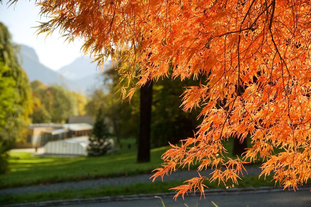 Schloss Ragaz Hotel Bad Ragaz