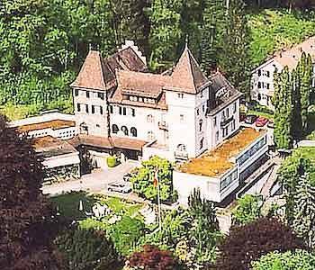 Hotel Schloss Ragaz 3*