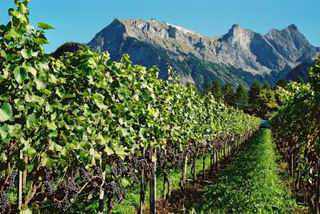 Schloss Ragaz